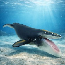 Najmaddin Deniz Hayvanları Serisi - Kambur Balina 30 cm