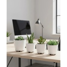 Kaia Life 4’lü 3D Beyaz Minimal Dekoratif Vazo Ayaklı Saksı Takımı
