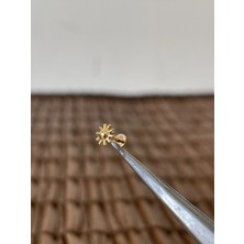 Aida Jewelss Gerçek Titanium G23  Güneş Altın Titanyum 6x1.2mm Labret Piercing