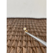 Aida Jewelss Gerçek Titanium G23 Papatya Altın Titanyum 6x1.2mm Labret Piercing