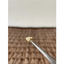 Aida Jewelss Gerçek Titanium G23 Kalp Zirkon Altın Titanyum 6x1.2mm Labret Piercing