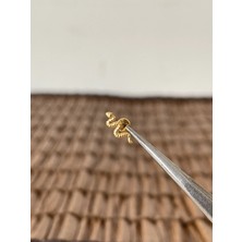Aida Jewelss Gerçek Titanium G23 Yılan Titanyum Altın 6x1.2mm Labret Piercing