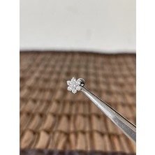 Aida Jewelss Gerçek Titanium G23 TT058 Zirkon Titanyum 7x1.2mm Labret Piercing