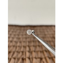 Aida Jewelss Gerçek Titanium G23 Shell Titanyum 7x1.2mm Labret Piercing