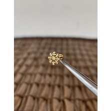 Aida Jewelss Gerçek Titanium G23  Kar Tanesi Zirkon Altın Titanyum 6x1.2mm Labret Piercing