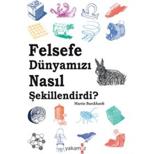 Felsefe Dünyamızı Nasıl Şekillendirdi?