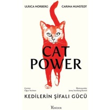 Kedilerin Şifalı Gücü