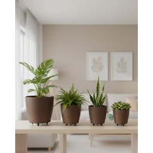 Arenes 4lü Vazo Kahverengi - Lisinya