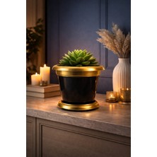 Lowell Home Nf Gold Bilezikli 1,7 Litre Dekoratif Plastik Saksı Siyah LWLHM-RSYT367