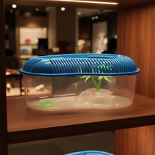 Lady Fify Kaplumbağa Için Taşınabilir Büyük Bahçe