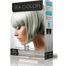 Sea Color Kit Gumus Gri 0.02 1 Adet