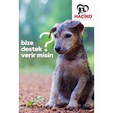 Haçiko Tedavi Destek Kartı (Dijital) – Yaralı Hayvanlar Için Sağlık Desteği