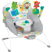 Bright Starts Playful Paradise Rahat Bebek Zıpzıp Koltuğu Yatıştırıcı Titreşim ve Oyuncaklar, Üniseks, 0 Ile 6 Aylık Arasındaki Bebekler Için