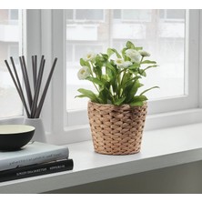 IKEA Quality Hasır Bitki Saksısı Yükseklik 13 cm Dekoratif Saksı Su Sümbülü Saksı Dış Çap 15 cm