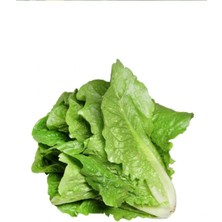 Vexor Yedikule Marul Tohumu 10 gr