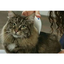 Aesco Kedi Köpek Pire Temizleyici Pire Tarağı Flea Doctor ( Lisinya )