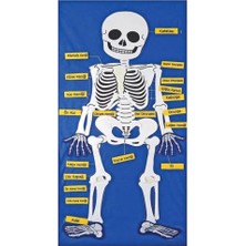 Aylina Mey Ithalat® AND-9150 Cırtlı Iskelet Pano 5119