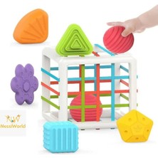 Aylina Mey Ithalat® HE0211 Lastikli Bultak Küp