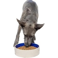 Starseven Ethical Kase Seramikten, 9,5 Inç, Beyaz/mavi