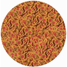 Hype Store Pro Colour 100GR Balık Yemi Kovadan Bölme