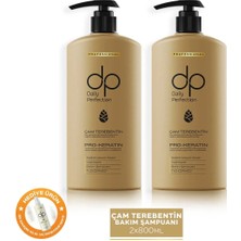 Dp Daily Perfection Tuzsuz Şampuan 800 ml Çam Terebentin 2'li Paket