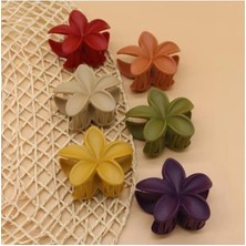 Hype Store Benim - Karışık Renk Pastel Toka 1 Adet