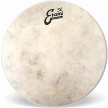 Hype Store Calftone Tom 13 Inch - TT13C7 Tom Derisi