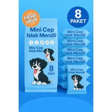 Anı Ofis Kırtasiye Mini Cep Islak Mendil 8'li Paket | Aloe Veralı | Alkol Içermez | Yumuşak Dokulu |taşınabilir |mavi̇