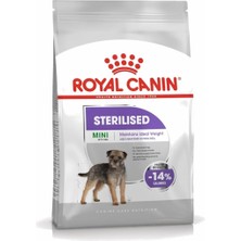 Braventa Collection Canin Ccn Mini Sterilised 3 kg Köpek Maması