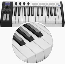 Hype Store Worlde Blue Whale 25 Tuş Klavye