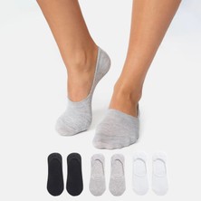 Kral Socks Kadın - Erkek Düz Desen (6 Çift) Pamuklu Terletmez Babet Çorap