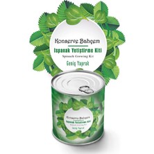 Karahanbey Z&k Market® Konserve Bahçem Evde Konservede Kolay Ispanak Yetiştirme Kiti