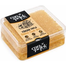 Canpetek Anadolu Serisi Tabak Petekli Bal 430 gr