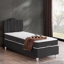 Setay Trend Ikili Set Tek Kişilik Baza Başlık - Antrasit