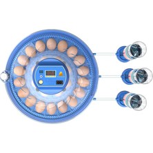 Altın Kuluçka 24 Yumurtalık Ekonomik Hobi Kuluçka Makinesi