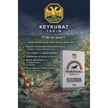 Drt Hydroponica Micro Zn 15 Edta Şelatlı Çinko 1kg