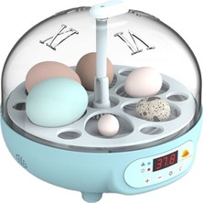 Altın Kuluçka 6 Lı Mini ve Ev Tipi Kuluçka Makinesi