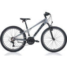 Bianchi XR24.2 21-V Vb Erkek Çocuk Dağ Bisikleti - Gri-Siyah - 31 cm