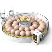 Altın Kuluçka 35 Lik Hobi Kuluçka Makinesi-Şeffaf Tasarımlı Model