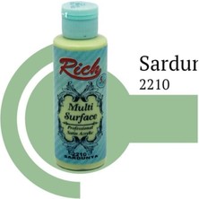 Rich Multi Surface 2210 Sardunya Akrilik Boya 130 cc