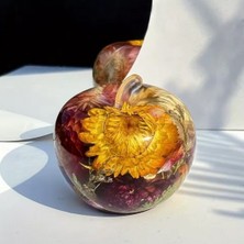 Epoksi Silikon 3D Elma Şekilli Dekorasyon Kalıbı