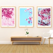 Pixaflair - Cherry - Ev Dekor Poster - Çerçevesiz 3'lü Tablo Seti