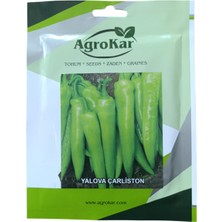 Agrokar Çarliston Biber Tohumu 10 gr