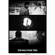 Pixaflair - Wild Pear Tree - Ahlat Ağacı - Sinan & Pit- Çerçevesiz Film Poster