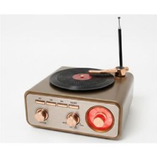 Everton RT-1217BT  Bluetooth Usb-Micro Plak Radyo