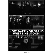 Pixaflair - Harry Potter - How Dare You - Çerçevesiz Poster