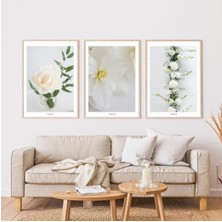 Pixaflair - White Flowers - Ev Dekor Poster - Çerçevesiz 3'lü Tablo Seti