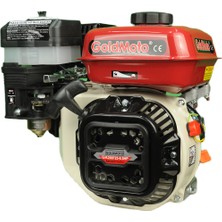 Goldmoto GM200F25 6.5 Hp Krank Mili Frezeli 25MM Benzinli Motor