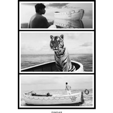 Pixaflair - Life Of Pi - Tiger - Çerçevesiz Film Poster