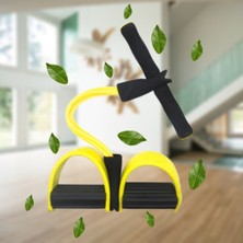 Bucuks® Jimlastik Aleti Elastik Yay Karın Kası Çalıştırıcı Trimmer